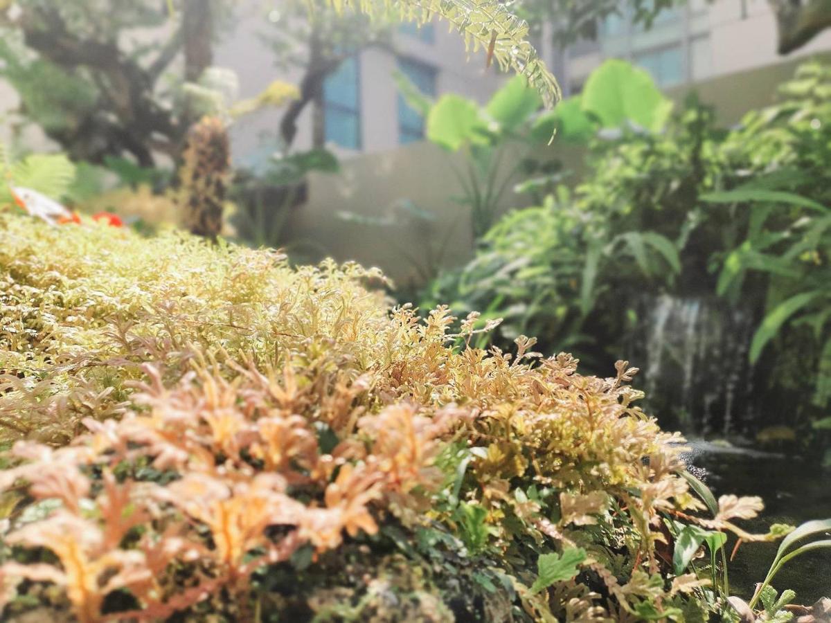 Ana Park Chiang Mai Hotel Екстериор снимка
